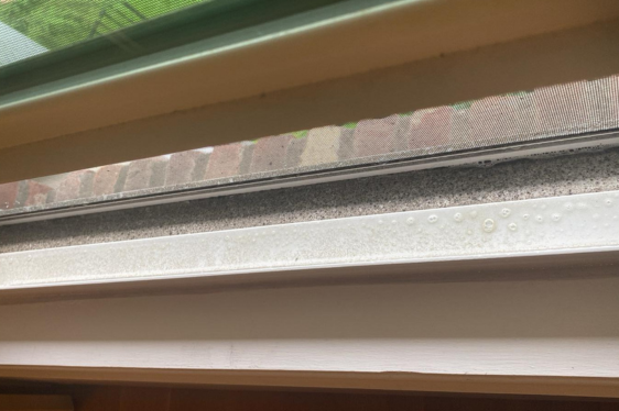 Deep Cleaning - Before