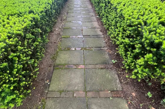 Power Washing - Before