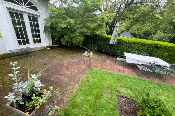 Spring & Fall Clean Up - Before