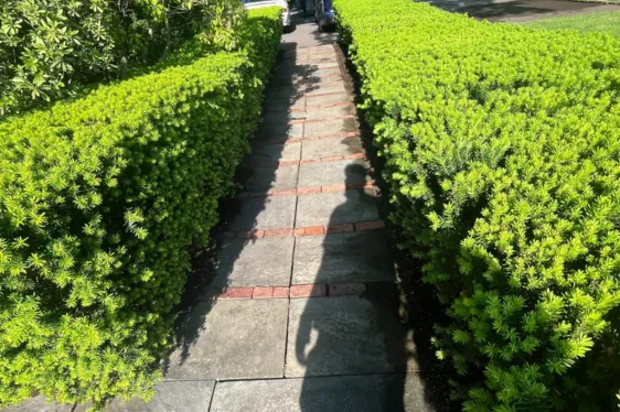 Power Washing - After