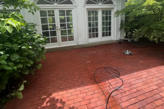 Spring & Fall Clean Up - After